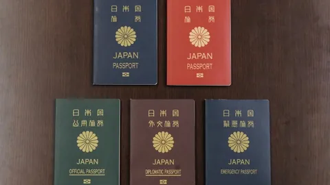 东契奇高效表现，18投8中砍下29分8篮板9助攻，罚球12中11准三双！